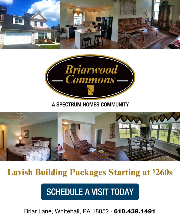Briarwood Commons